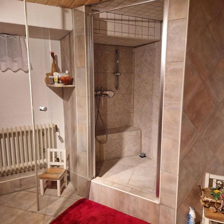 Grosses Gemuetliches Zimmer Mit Eigener Dusche Und Sauna Auf Wunsch Rheinstetten Extérieur photo